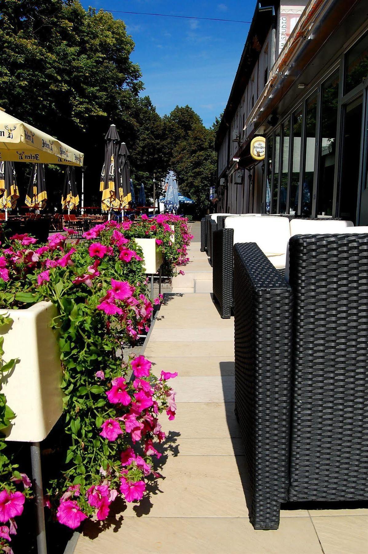 Hotel Tiski Cvet Novi Bečej 外观 照片